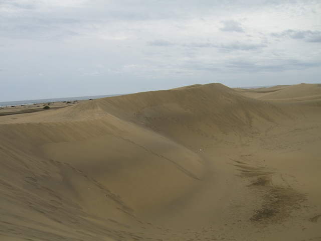 IMG_0090.JPG