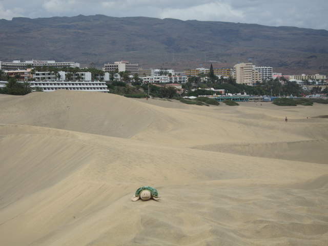 IMG_0099.JPG