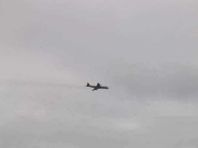 IMG_1402.jpg