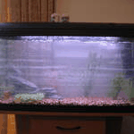 new home 017.avi