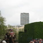 The Elephant
