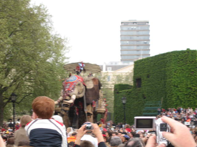 The Elephant