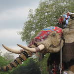 The Elephant