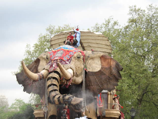 The Elephant