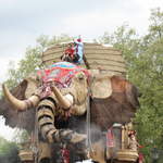 The Elephant