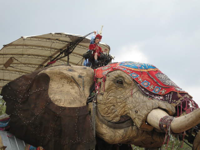 The Elephant