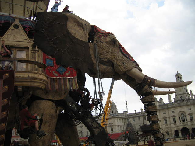 The Elephant