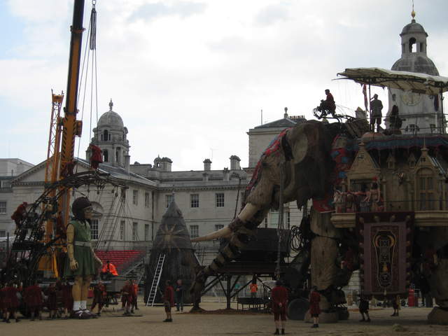 The Elephant