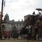 The Elephant