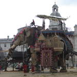 The Elephant
