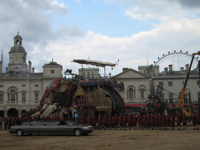 The Elephant