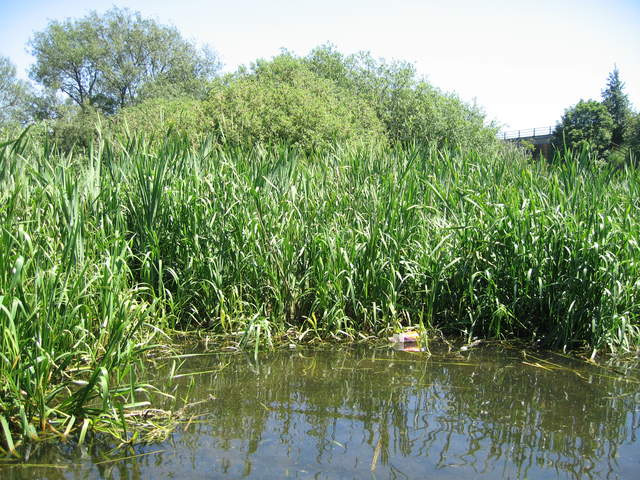 Canal