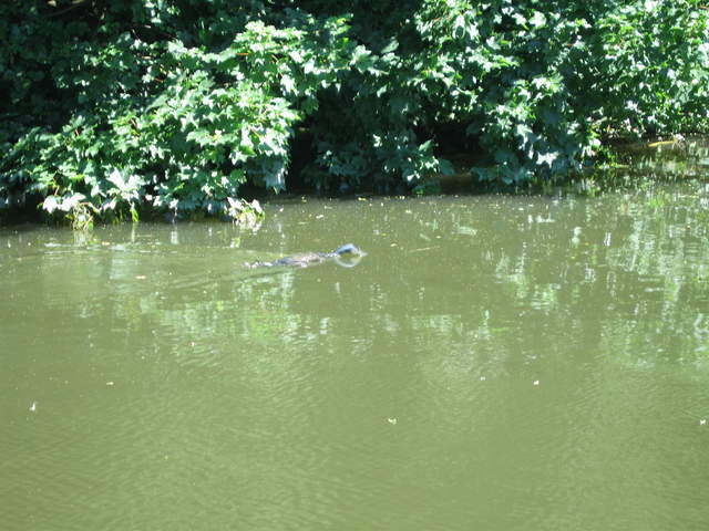 Watford-Apsley Canal