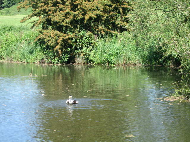Watford-Apsley Canal