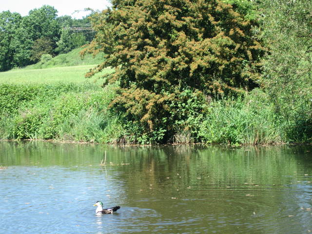 Watford-Apsley Canal