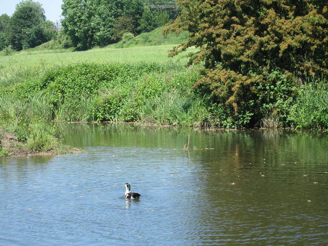 Watford-Apsley Canal