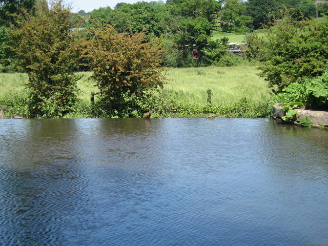 IMG_0018.JPG