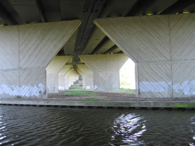 IMG_0020.JPG