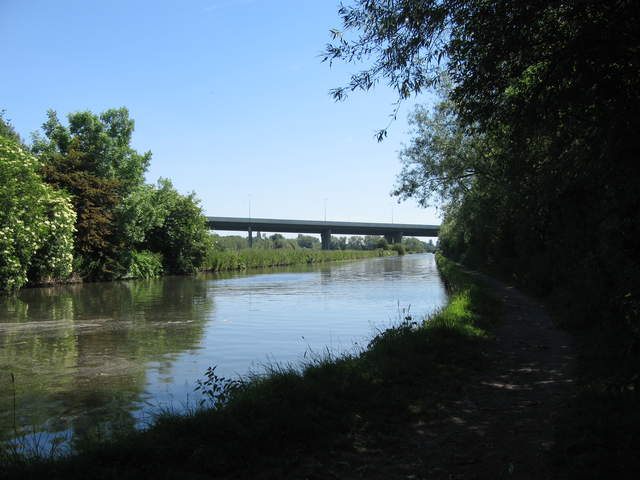IMG_0021.JPG