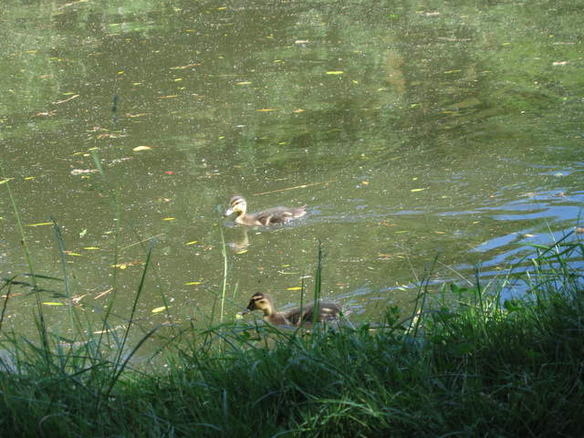 IMG_0022.JPG