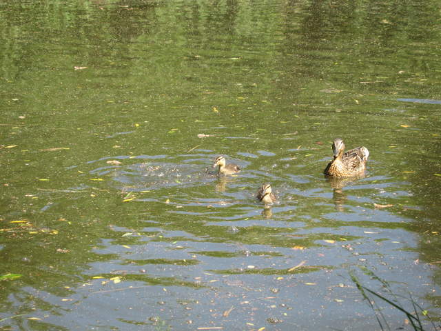 IMG_0023.JPG