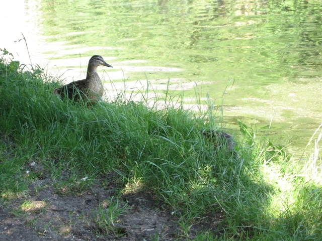 IMG_0026.JPG