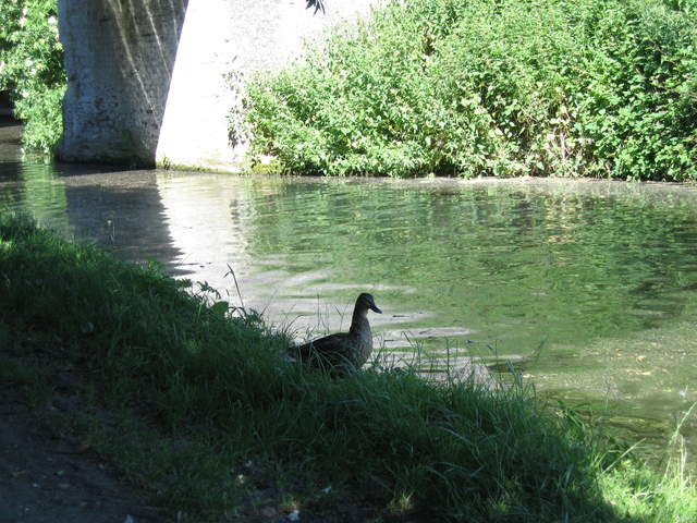 IMG_0027.JPG