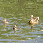 IMG_0023_resized.jpg