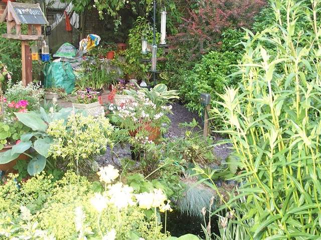 June28th2006 010