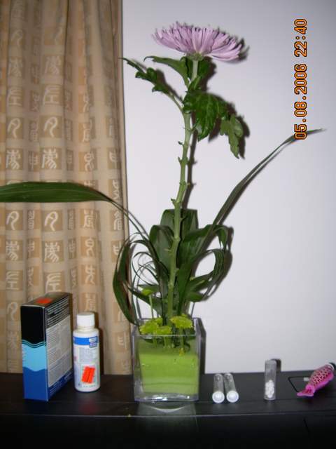 DSCN0030.JPG