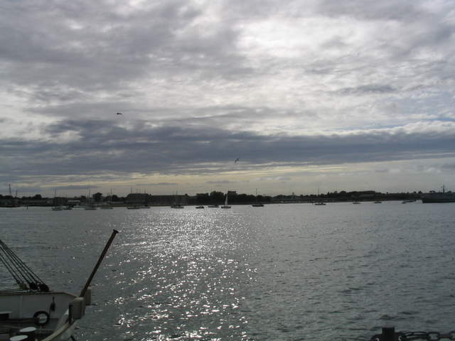 IMG_1445.jpg