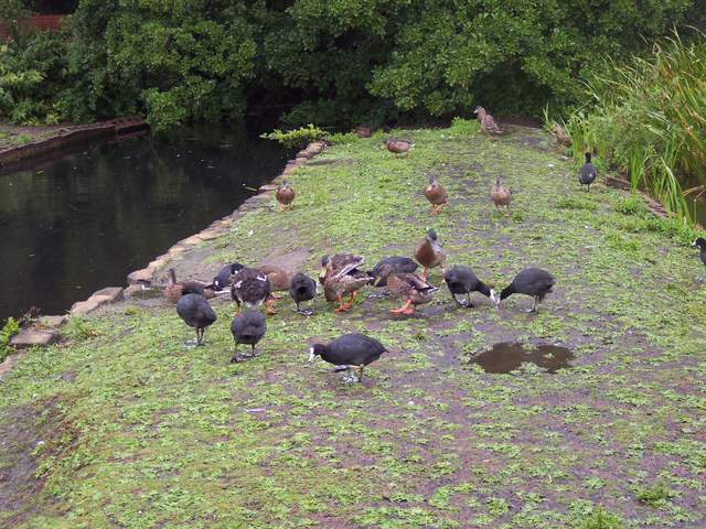 100_2075.JPG