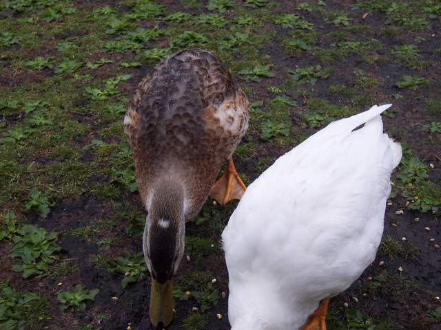 100_2073.JPG
