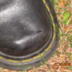 Blakes 019.jpg