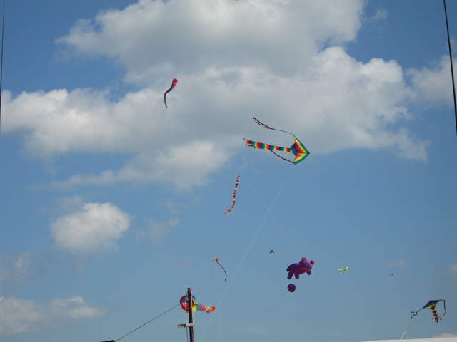 IMG_0002.JPG