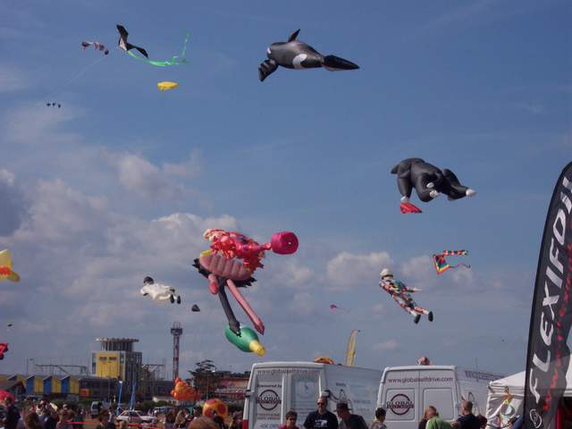100_2246.jpg