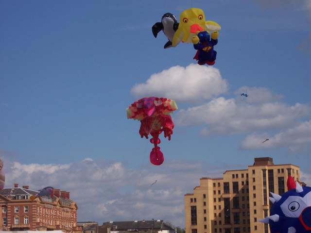 100_2252.jpg