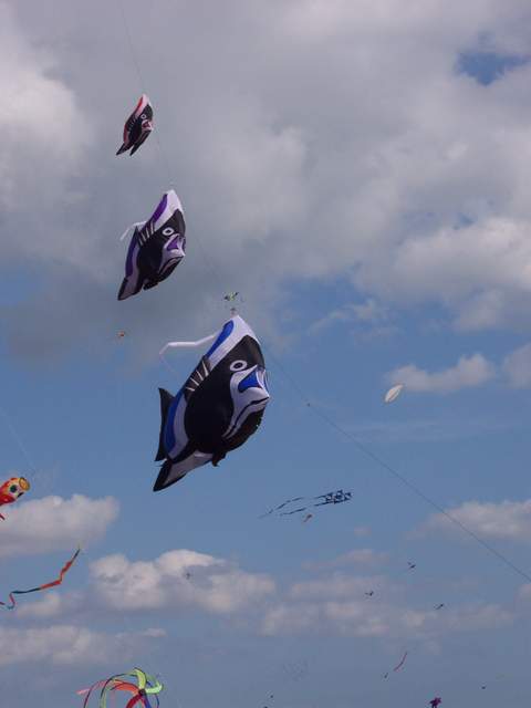 100_2254.jpg
