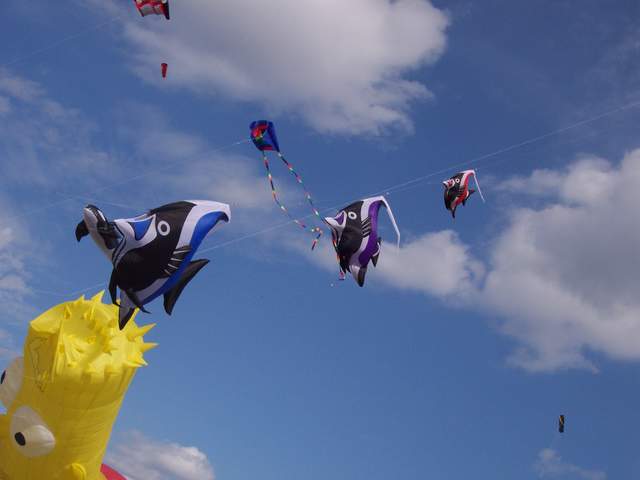 100_2257.jpg