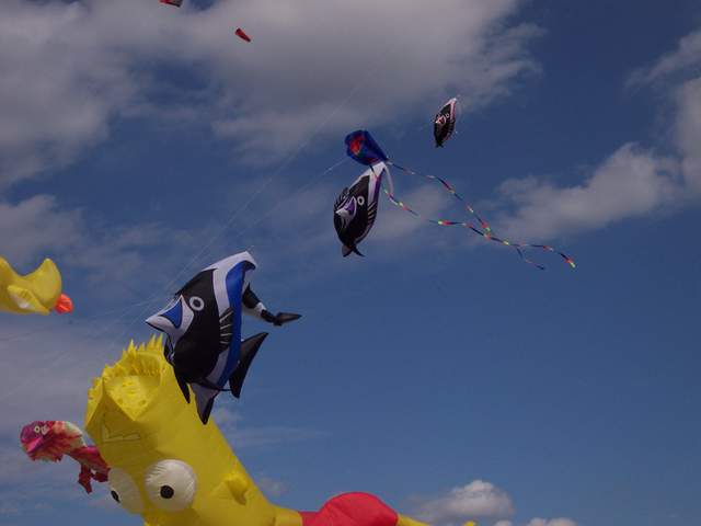 100_2258.jpg