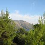 aIMG_0006.JPG