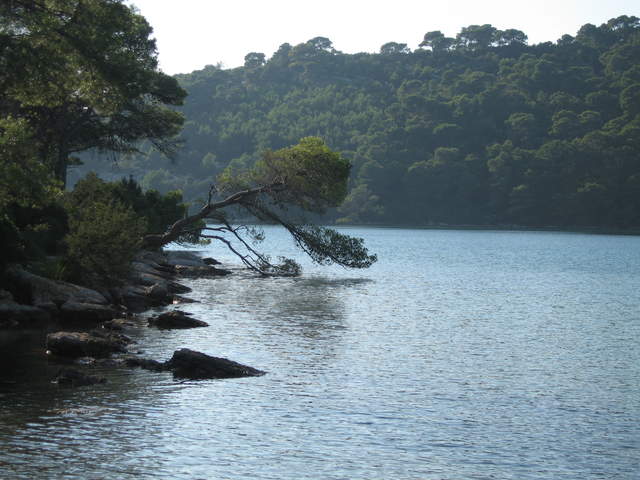 aIMG_0108.JPG