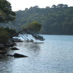 Island of Mljet