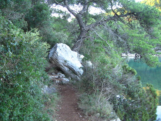 aIMG_0123.JPG