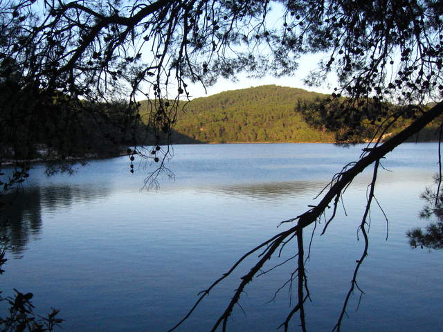aIMG_0124.JPG