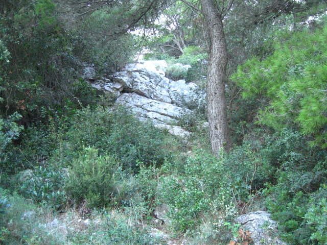 aIMG_0125.JPG