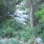 aIMG_0125.JPG