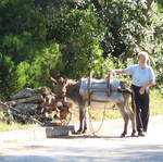 aIMG_0137.JPG