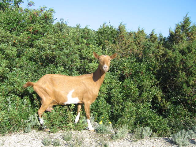 aIMG_0140.JPG