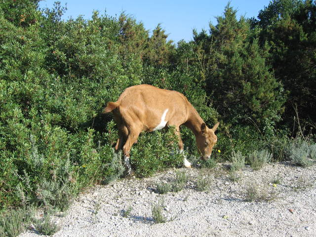 aIMG_0141.JPG